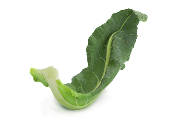 白色的罗马卷心菜蔬菜图片下载