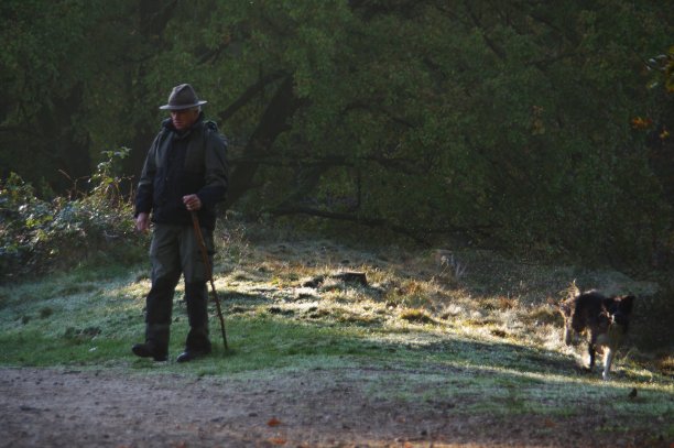 清晨的牧羊人图片下载