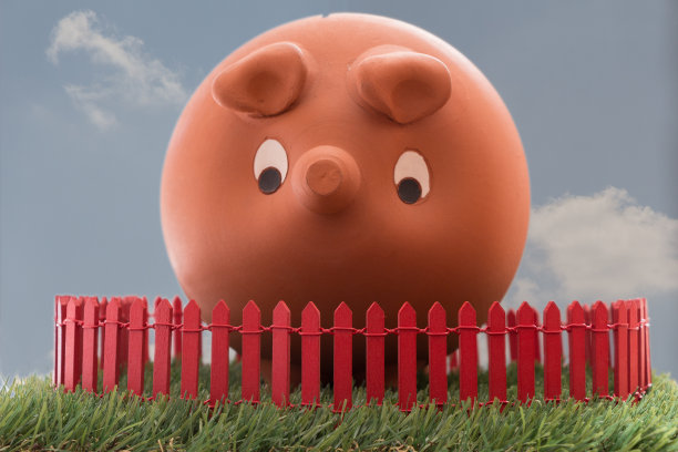 保护你的储蓄图片下载