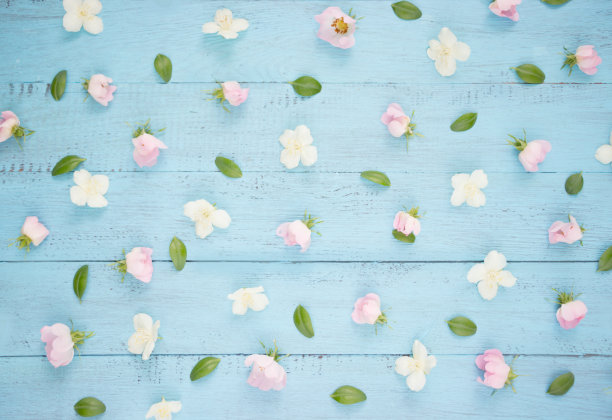 花朵图案由粉色玫瑰和白色茉莉花组成。花的抽象。平躺，俯视图图片下载