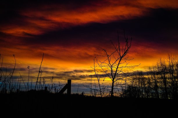 11月日出图片下载