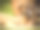孩子们在浴缸里洗手的特写照片图片下载