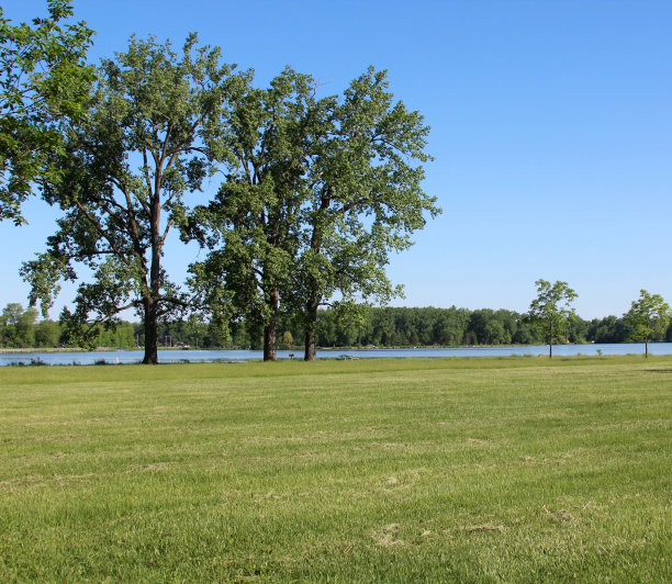 湖草景观图片下载
