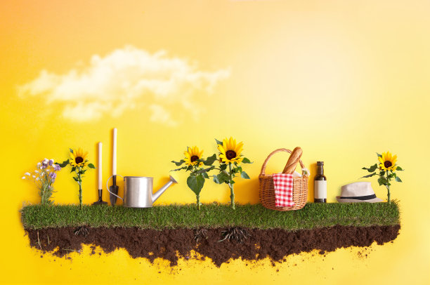 夏日花园野餐背景图片下载