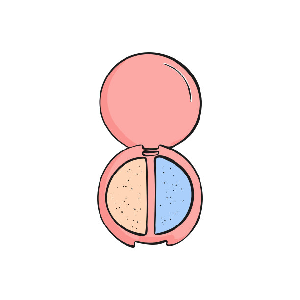 眼影调色板和腮红两种颜色的眼影。专业美容化妆品化妆。化妆符号说明。图片下载