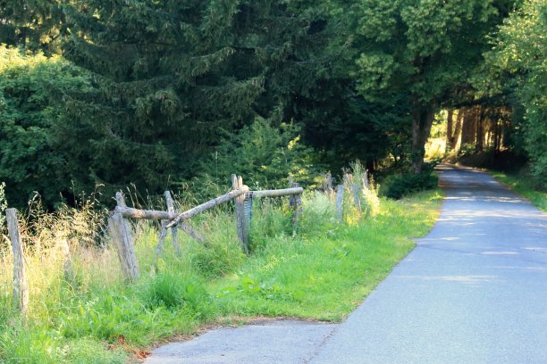 公路上明暗一片图片下载