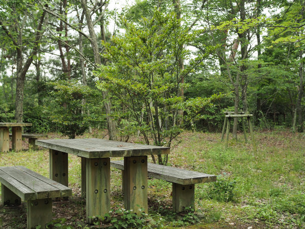 安静的森林里的一张长椅图片下载