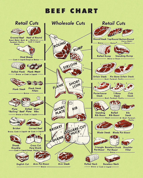 牛肉的图表图片下载