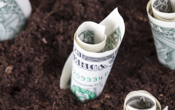 元现金费用图片下载