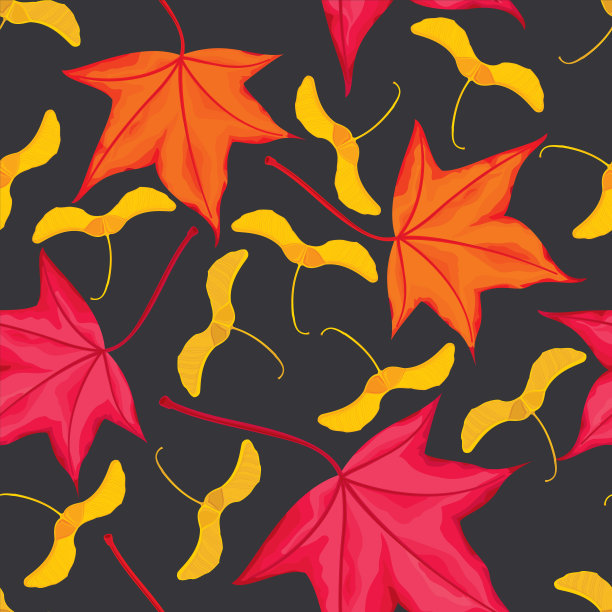 枫叶和种子无缝图案图片下载