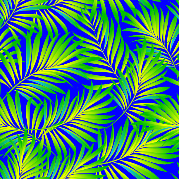 手掌。来自热带植物叶子的无缝图案。丛林。向量壁纸,背景。图片下载