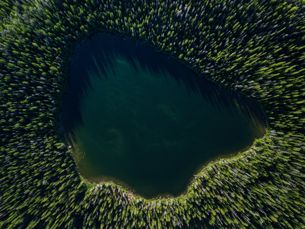 向下看的湖和树图片下载