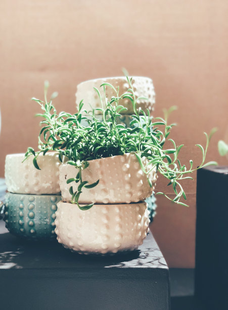 花园锅图片下载