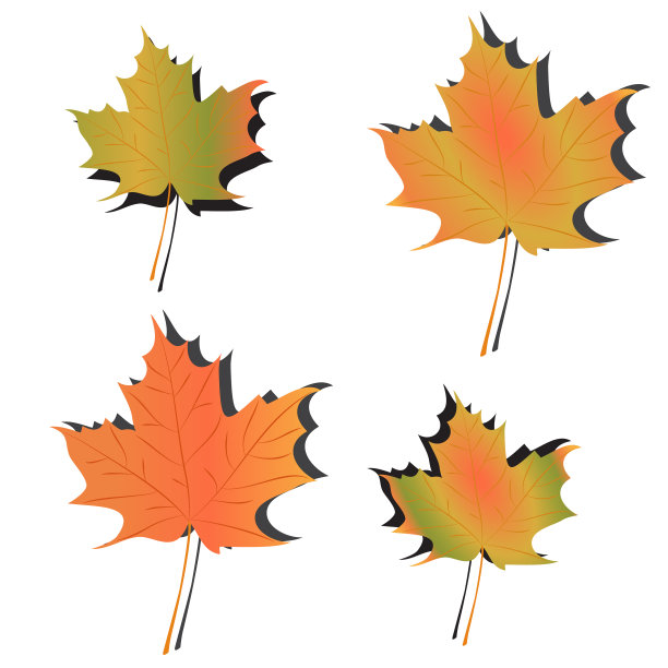 叶插图图片下载