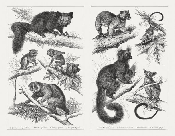 《普罗米修斯》，木版，出版于1897年图片下载