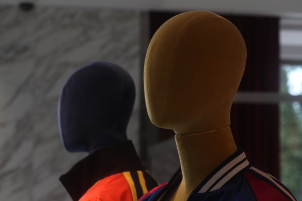 人体模型图片下载