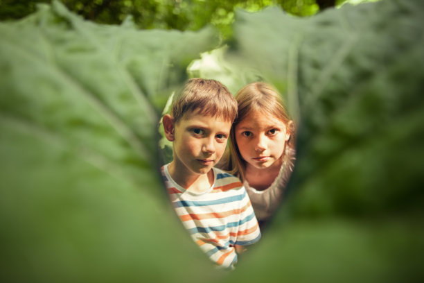有大叶子的孩子们的肖像图片下载