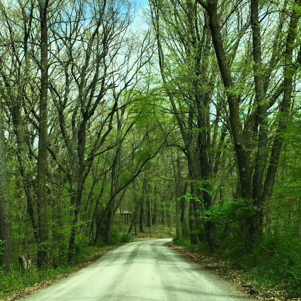 在公园里图片下载