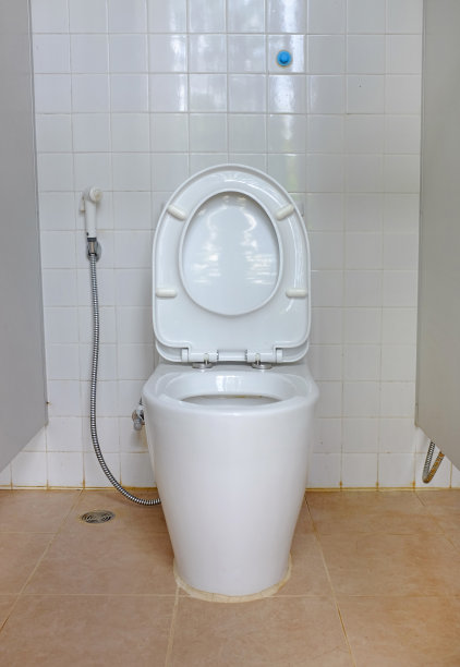 浴室的马桶座圈。图片下载