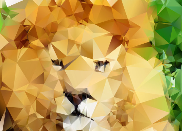 狮子头特写背景-抽象几何插图图片下载