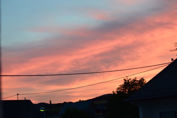 夏天天红图片下载