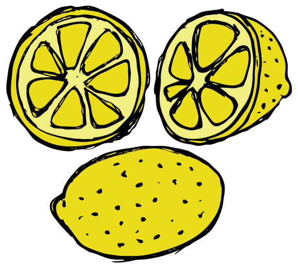 柠檬涂鸦矢量素描图片下载