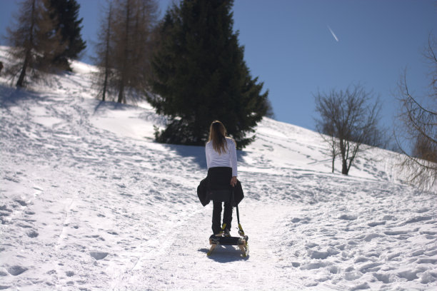女孩和雪橇图片下载