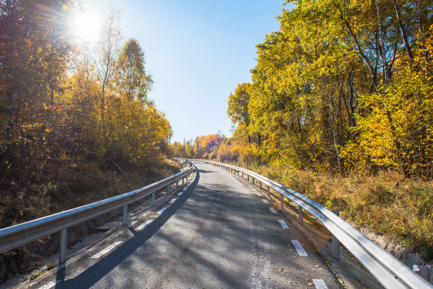 秋日森林道路素材图片