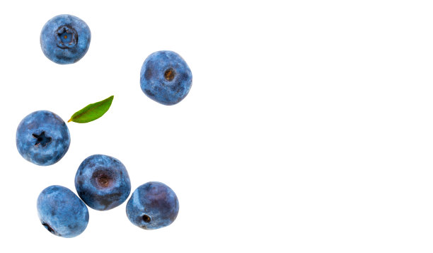 白色背景上孤立的蓝莓。剪切路径图片下载