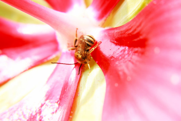 无名氏图片下载