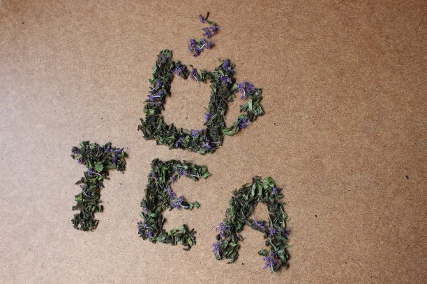 干燥的俄罗斯柳叶茶图片下载
