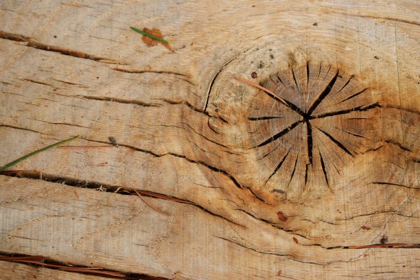 木材纹理文摘图片下载