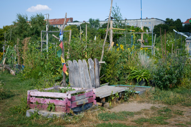城市园艺-花园在Tempelhofer菲尔德(Flughafen Tempelhof)在柏林图片下载