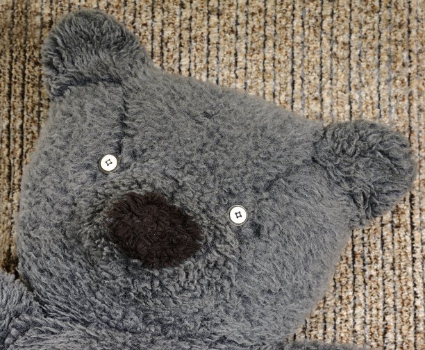 特写的旧泰迪熊的脸，眼睛的一个按钮图片下载