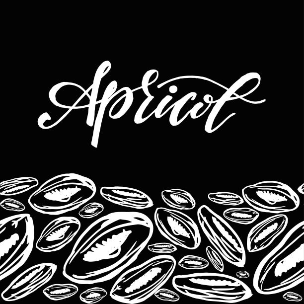 干杏图案在橙色的背景图片下载