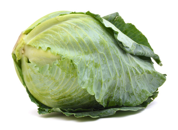 背景素材：孤立的卷心菜图片下载