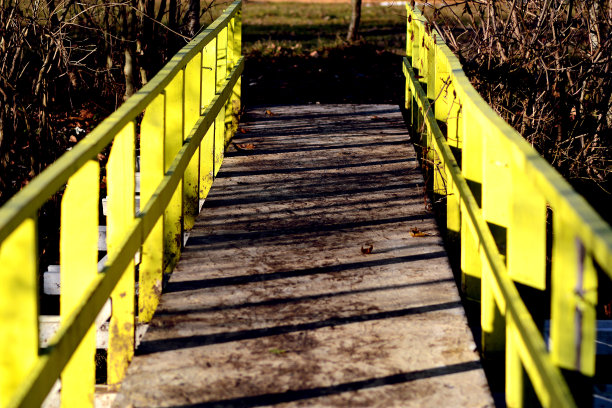 秋天的森林里的人行天桥图片下载