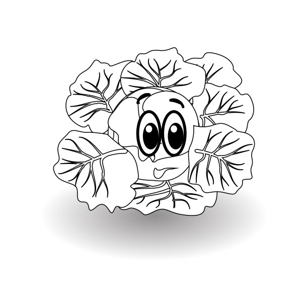 卡通蔬菜-花椰菜，卷心菜。可爱的人物蔬菜花椰菜，白菜面孤立在白色背景矢量插图。简单剪影西兰花，白菜面矢量图标。卡通的食物表情。蔬菜表情符号。有趣的foo图片下载