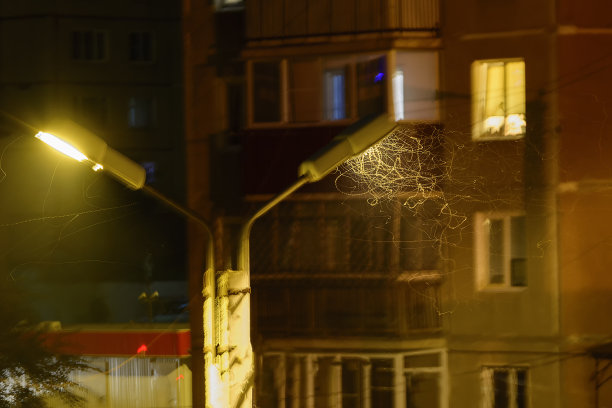 路灯下昆虫的发光痕迹图片下载