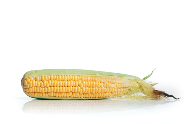 白色背景上的玉米图片下载