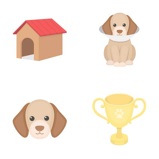 狗屋，保护项圈，狗嘴套，杯。狗集合图标在卡通风格向量符号股票插图web。图片下载