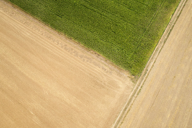 农业面积、字段图片下载