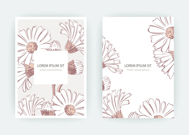 卡片上有金盏花，菊花，洋甘菊，菊花，万寿菊，牛蒡，紫菀。婚礼装饰极简柔和的颜色。花卉时尚海报，邀请。矢量装饰贺卡邀请设计背景图片下载