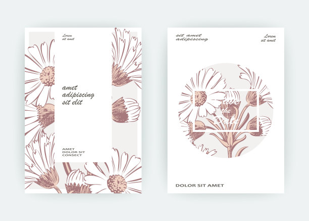 卡片上有金盏花，菊花，洋甘菊，菊花，万寿菊，牛蒡，紫菀。婚礼装饰极简柔和的颜色。花卉时尚海报，邀请。矢量装饰贺卡邀请设计背景图片下载
