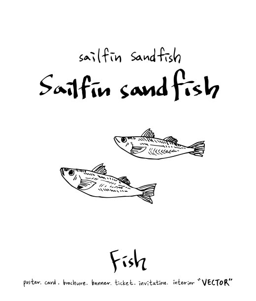 食品菜单插图图片下载