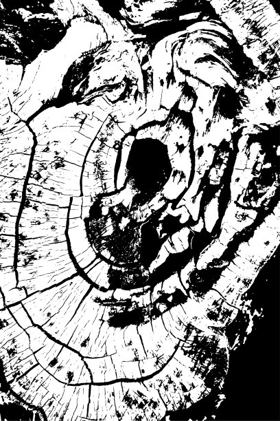 木材纹理背景素材图片