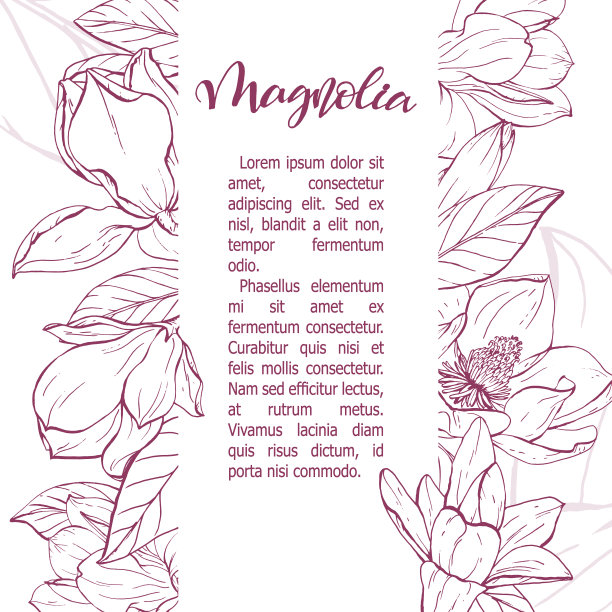 速写木兰花线形开花。图片下载