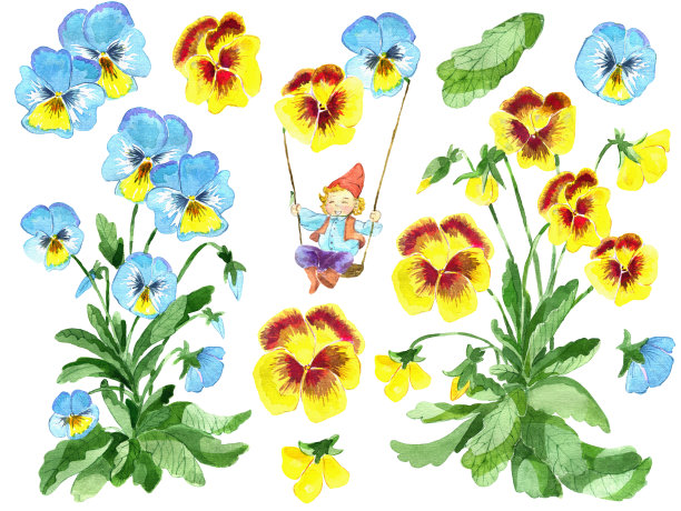 设计与花园三色堇花，树叶和有趣的侏儒在秋千孤立的白色图片下载