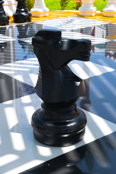 巨型黑棋骑士马棋子图图片下载