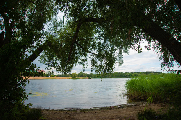 湖上有藤条，钓鱼的地方，自然景观图片下载